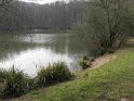 2013-04-04 11-54-57 Bois de Meudon Matin MDe